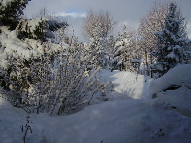 L'hiver