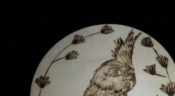 série oiseaux