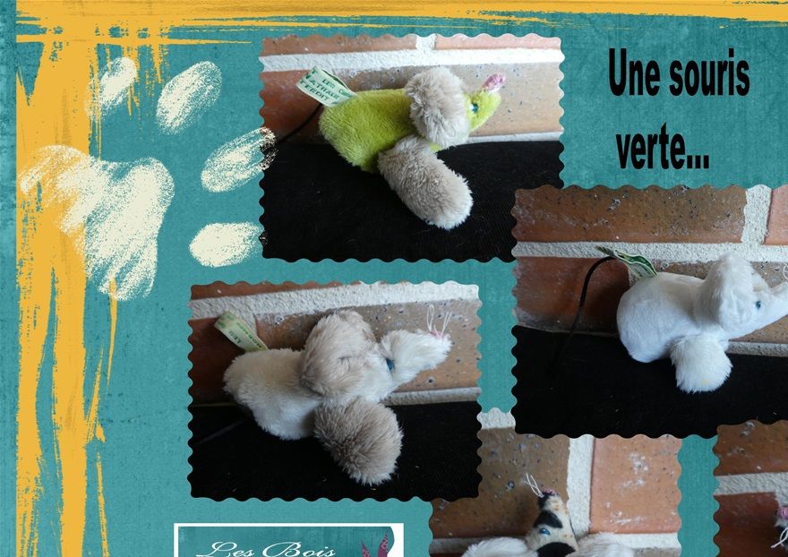 souris en doudou