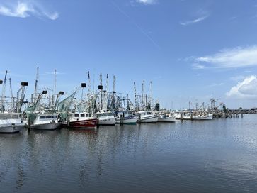 IMG_8363