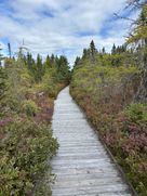 Schéi Wanderweeër zu Campobello