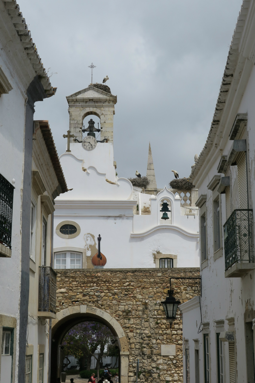 Faro ass besat vu Storschen