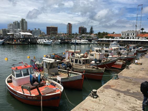 Punta del Este