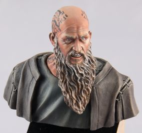 Viking_Z