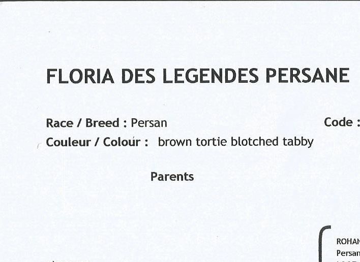 Pédigrée de Floria