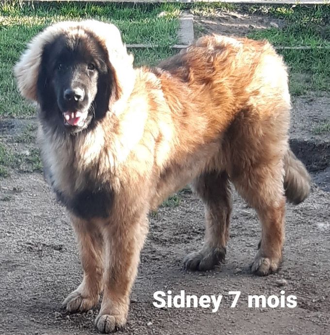 SIDNEY LOF FILLE DE PAMELIA NEE LE 19/08/2021
