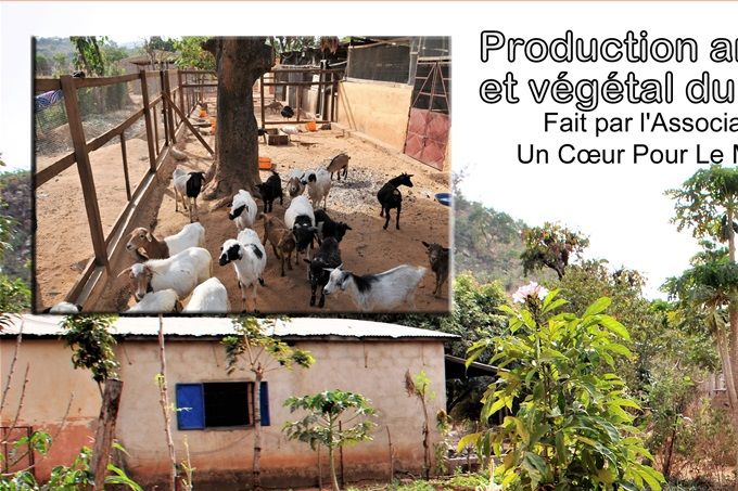 La terre produit des légumes pour les repas, et les animaux pour la nourriture des enfants.