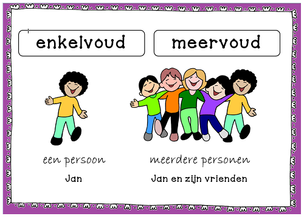 Enkelvoud en meervoud plaatje