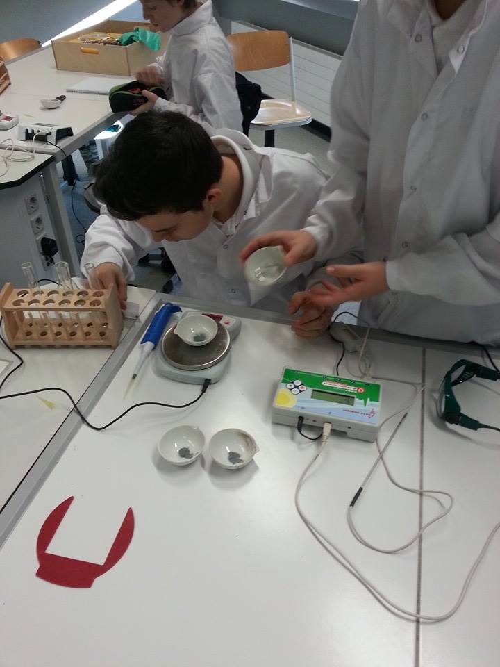 1460991_10151806726898613_2006634030_n