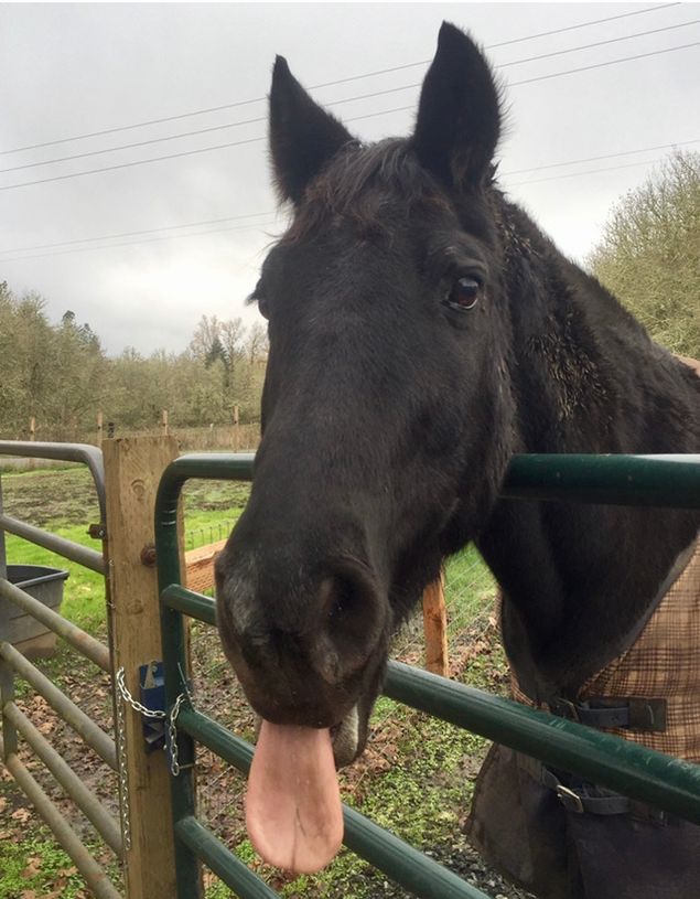 30 years!  I'm so happy I was able to be there for almost half of them.