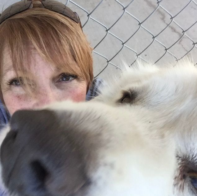 Grand old man, one of the great loves of my life.  What an honor it was it have had you in my pack and my life.  12 years wasn't enough, but I know that eventually, we'll have eternity.