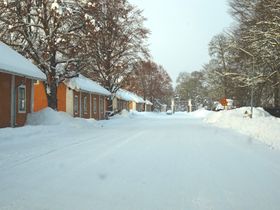 DSC05343. sm