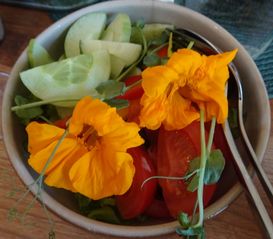 Dekorativ sallad