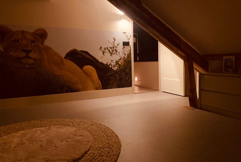 Project Kinderkamer Montfoort