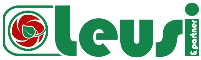 Leusi&Partner GmbH