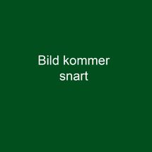 Linnés Råshult