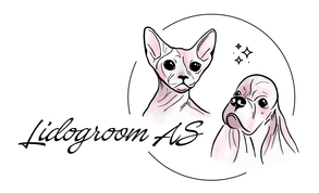 Lidogroom Mariia Lido