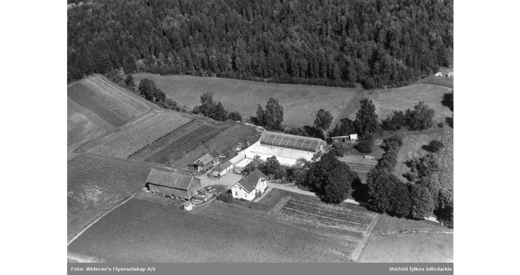 flyfoto___serialized2