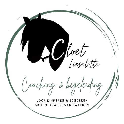 Coaching & begeleiding
