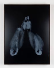 Body Print