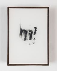 Body Print
