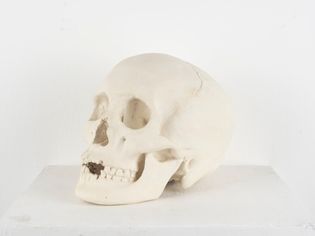 Memento Mori
