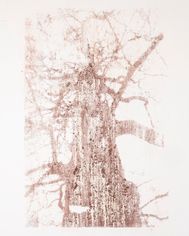 A Harvest of Fallen Beauty III