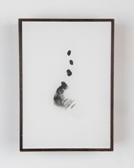 Body Print