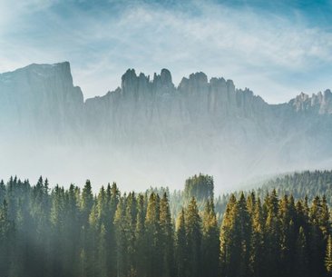 LightMandalas NatureEnvironment LightMandalas NatureEnvironment