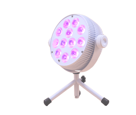LightMandalas LightAlchemyAuraSync LightMandalas LightAlchemyAuraSync
