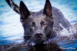 Swimming
