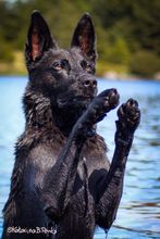 Waterpose