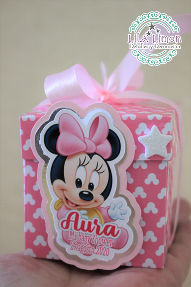 CHAPA BABY SHOWER MINNIE