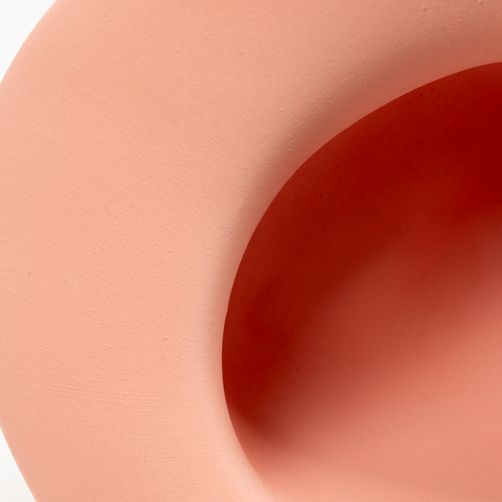Pink simplicity (detail)