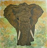 Elefant PRIVATEJE