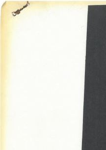 Page d'entête.
Cliquez sur l'image pour l'agrandir.