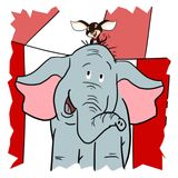 Norbie at the Circus