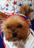 Happy 4th of July!