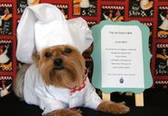 Cocoa Bean the Chef!