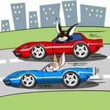 Like the Corvettes?
