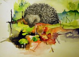 Hedgehog on a walk