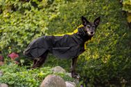 Produktfotos-Hunde-Regenmantel-Windhundglück-02