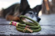 Produktfotos-Hundeleinen-Funis_04