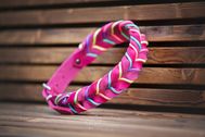 Produktfotos_Lederhalsband-Rottweiler-06