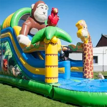 gorilla_slide_1