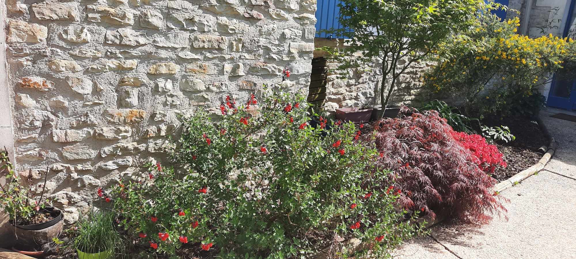 Messenger_creation_95090be0-73bd-4d17-87cf-4287c618f482