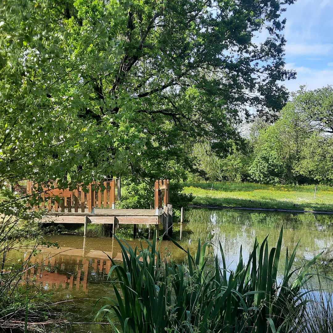 Messenger_creation_f6295dfe-e677-446d-a59a-ccaf1d34f7dc