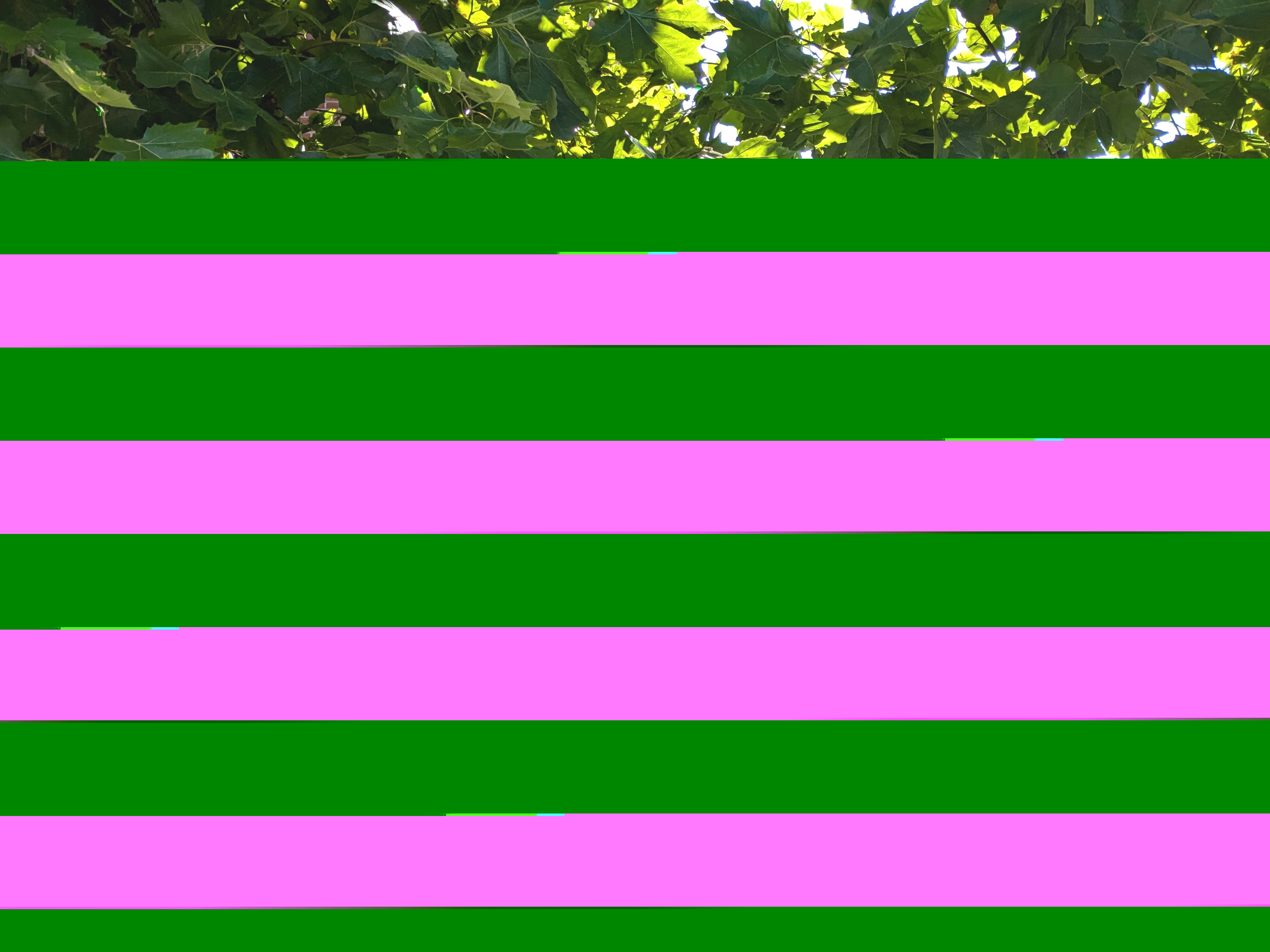 Mærk byen 6