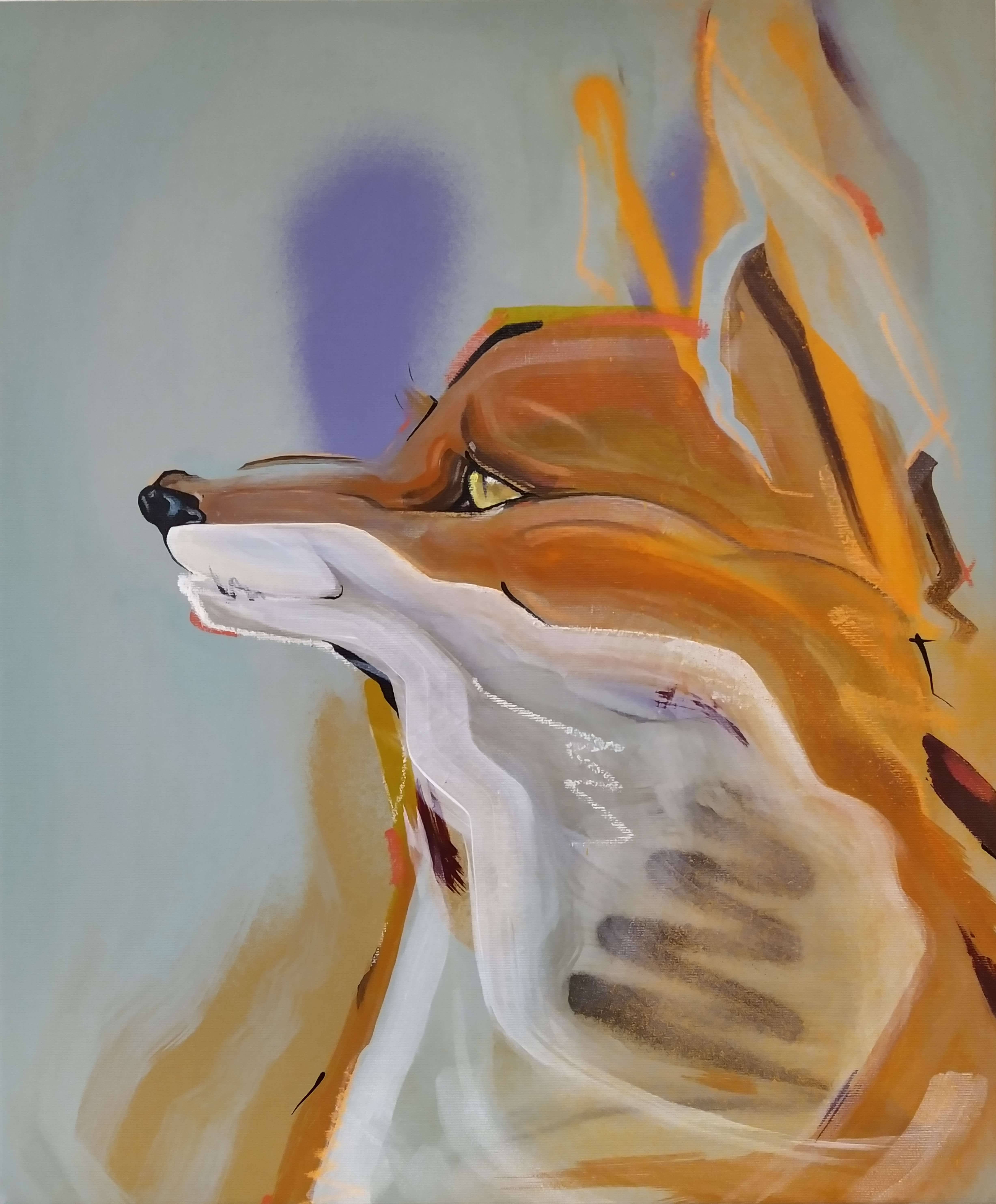 lints canvas fox