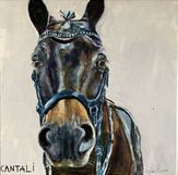 Cantali